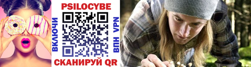Галлюциногенные грибы Psilocybine cubensis  Новокубанск 