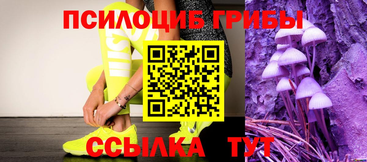 Новокубанск  Галлюциногенные грибы Cubensis  где купить наркотик  Галлюциногенные грибы прущие грибы  Вход с VPN 