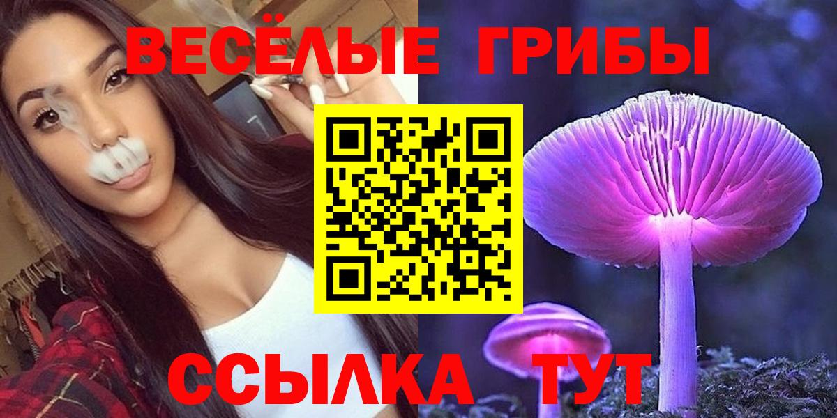 Псилоцибиновые грибы Magic Shrooms Новокубанск