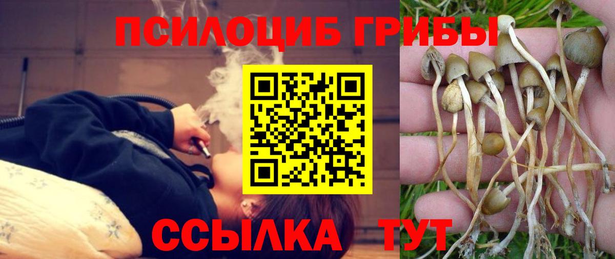 Галлюциногенные грибы мицелий  Новокубанск 